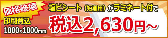 価格破壊短期用税込み2500円～