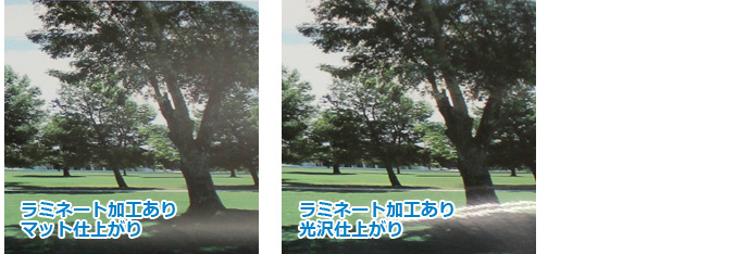 ラミネート無光沢・マット