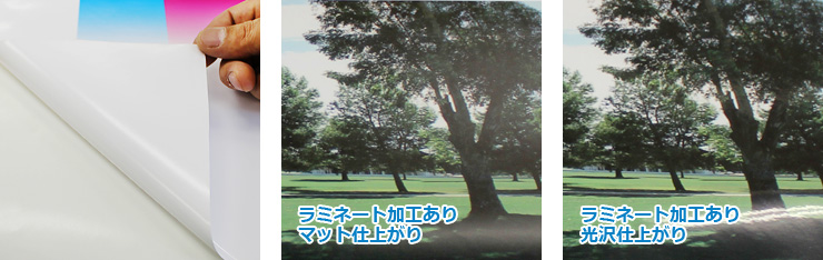 白糊 ラミネート有無