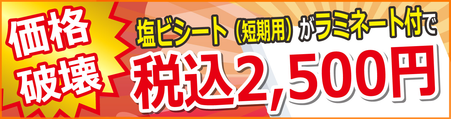 価格破壊短期用税込み2500円~